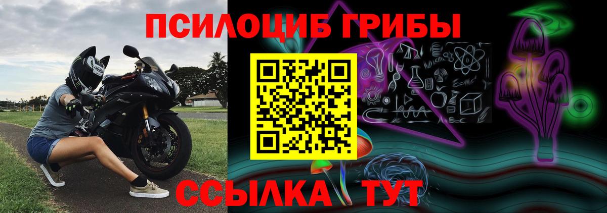 Ростов Великий  Галлюциногенные грибы мухоморы  Галлюциногенные грибы Psilocybe  что такое наркотик  Вход с VPN 