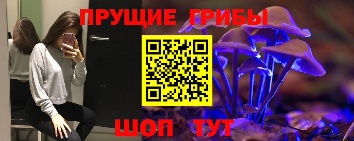 Псилоцибиновые грибы Cubensis Ростов Великий